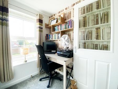 Study Area