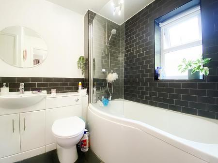 Jack & Jill Bathroom