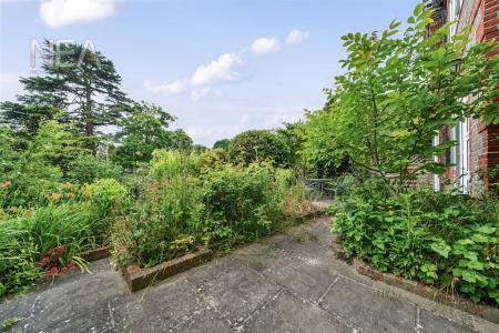 Courtyard Garden