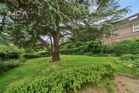 Courtyard Garden