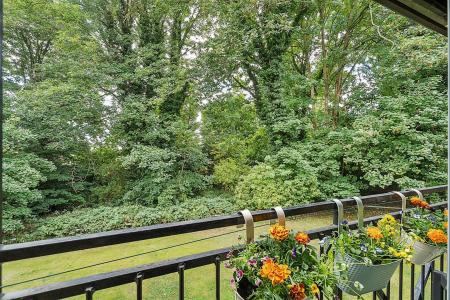 View from the living room