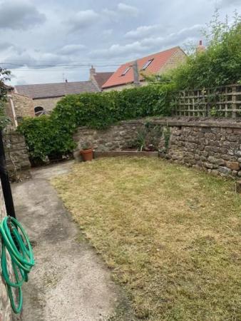 garden1.jpg