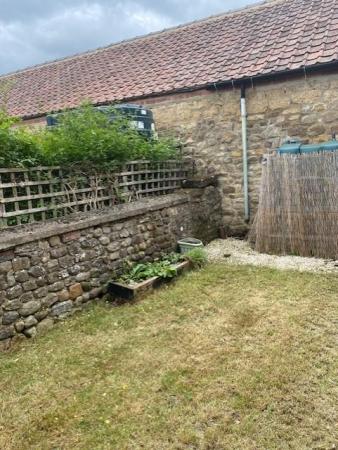 garden2.jpg
