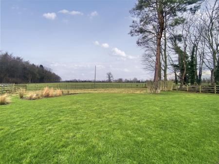 9019116-108131-134124381445869118-451f7695-aafa-0d