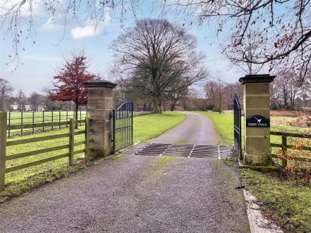 9019116-108132-134124381474254320-b33e09a4-f414-98