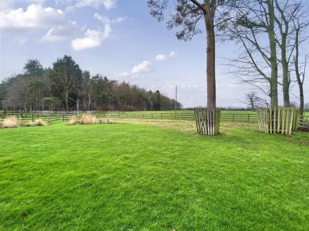 9019116-108136-134124381495960167-ee466788-2e73-de