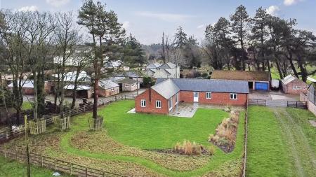 9019116-108133-134124381475772152-2fde4815-1e9f-a9