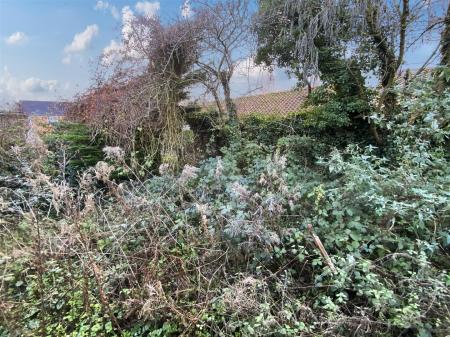 9019126-108184-134127773962325073-33d8c09c-e0dd-1f