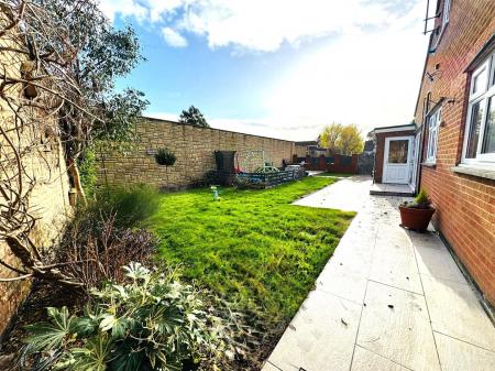 1000011017 (002).jpg