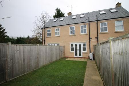 Rear Aspect