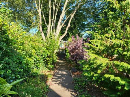 LARGE FRONT GARDEN & DRIVEWAY