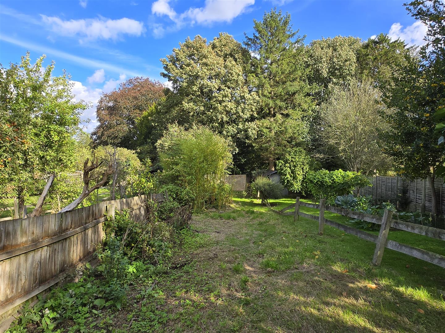 Image for CHAIN FREE - Green End, Braughing, Herts