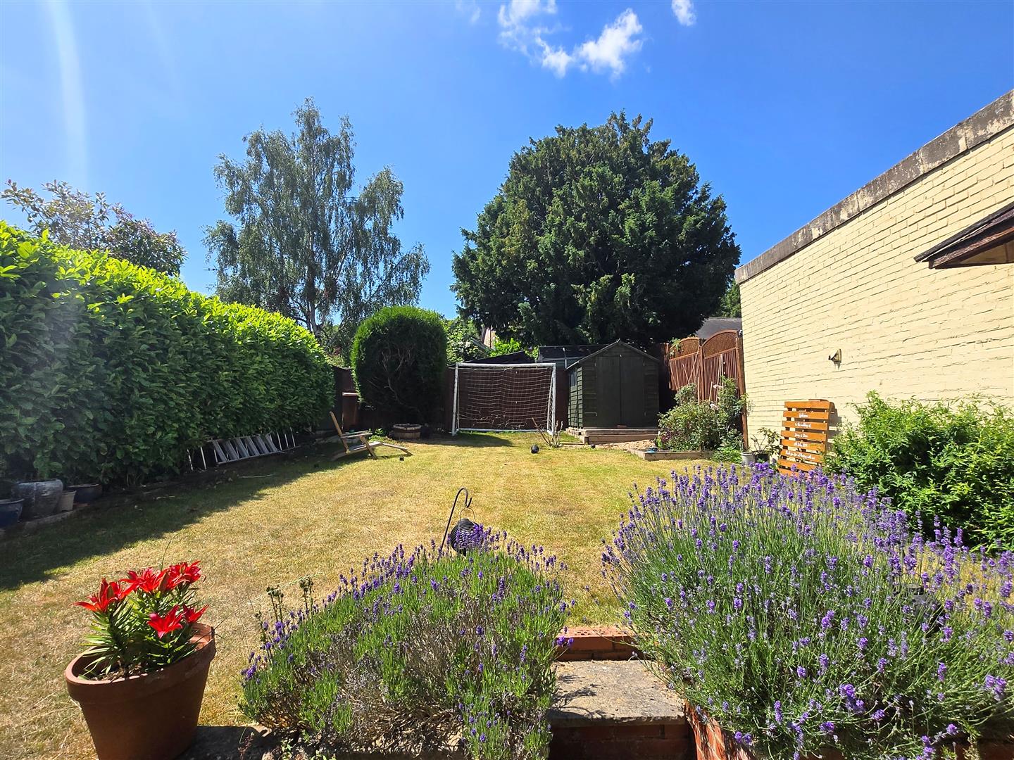 Image for CHAIN FREE - High Street, Puckeridge