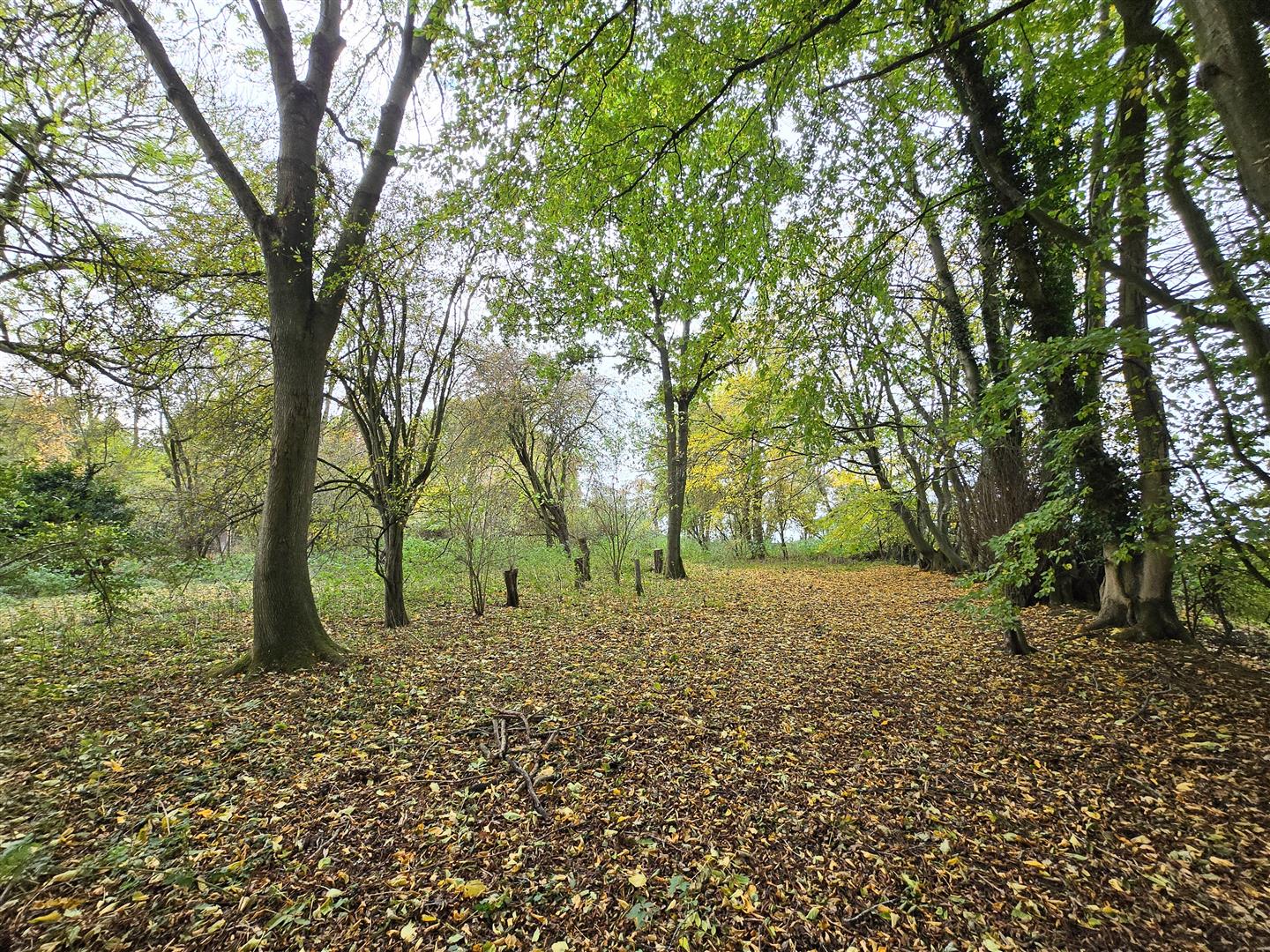 Image for Stores Cottages, Hare Street, Buntingford