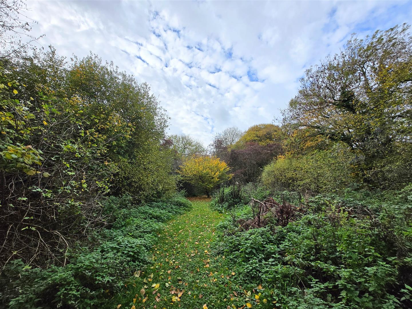 Image for Stores Cottages, Hare Street, Buntingford
