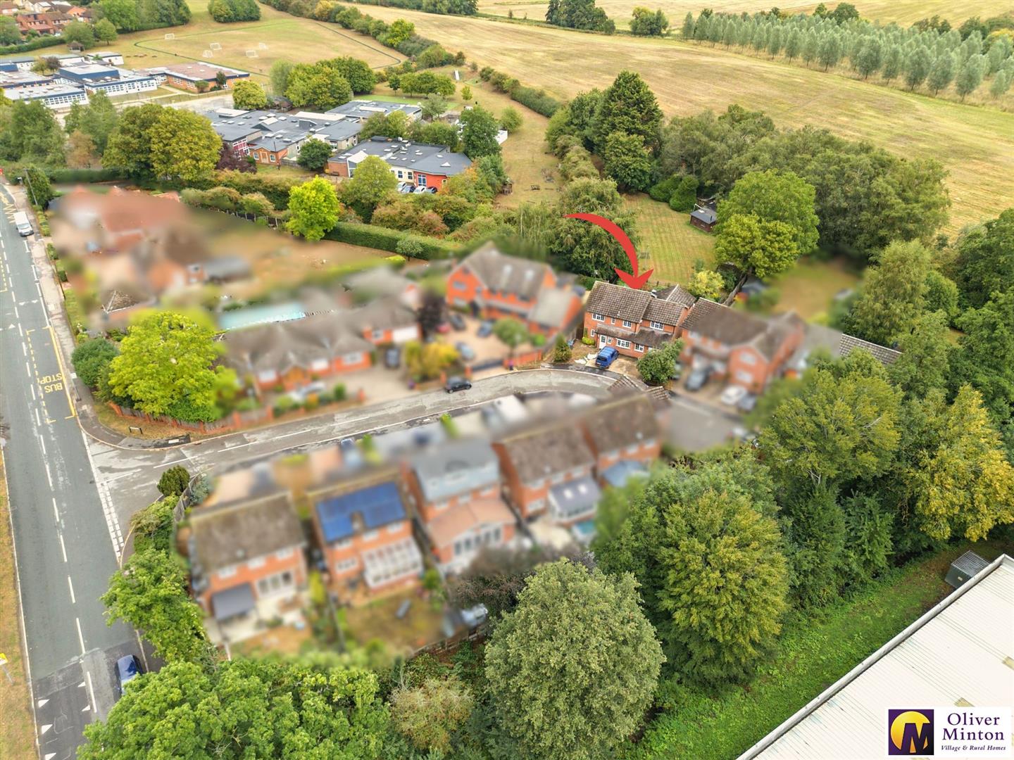 Image for Superb Large Garden: Standon, Herts