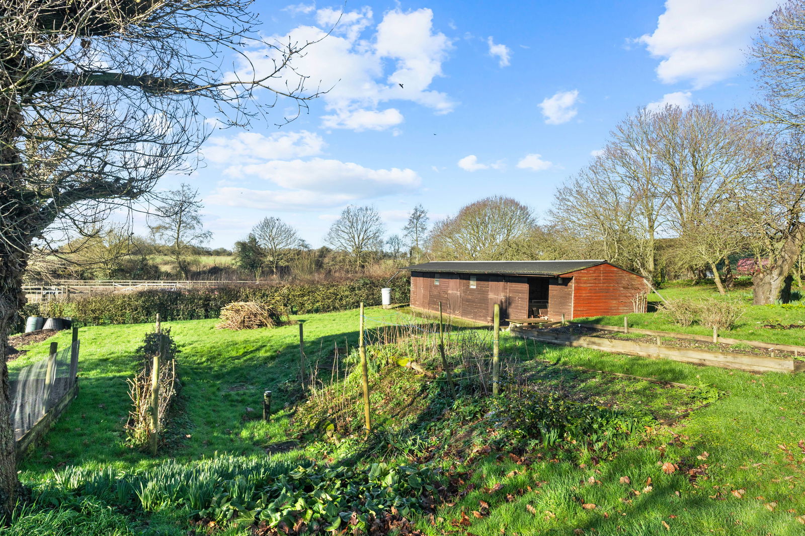 Image for CHAIN FREE - Nasty, Nr Ware, Herts