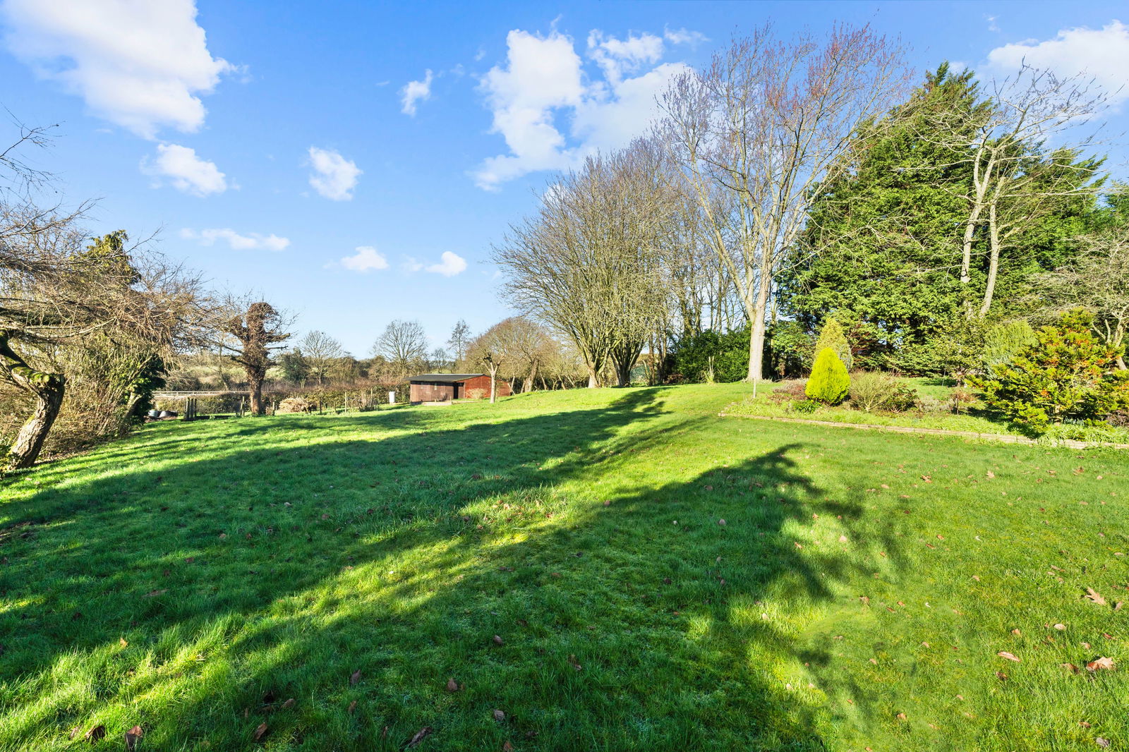 Image for CHAIN FREE - Nasty, Nr Ware, Herts