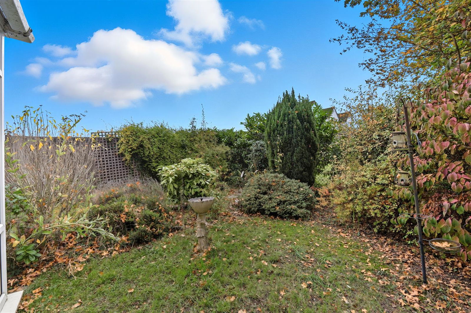 Image for CHAIN FREE: Parkfields, Roydon