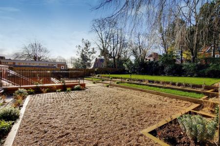 Communal Garden