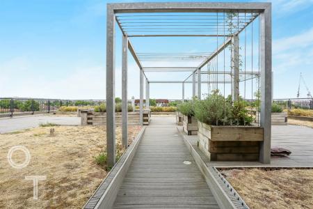 Roof Terrace