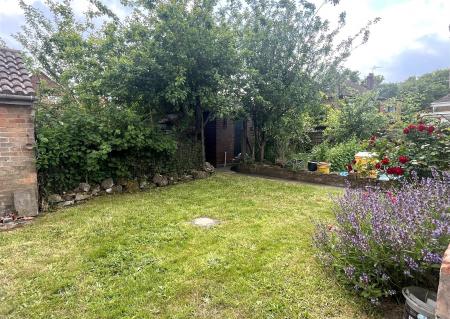 Garden c.jpg