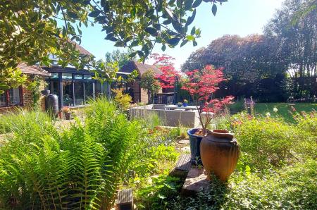 Garden b.jpg