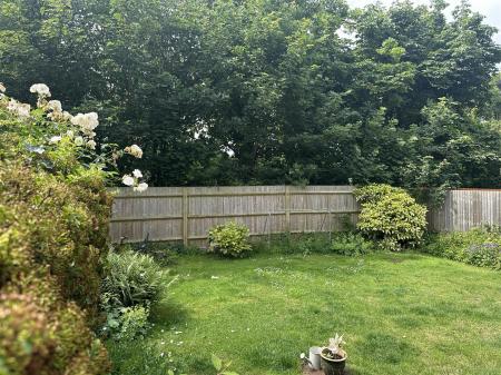 Garden.jpg