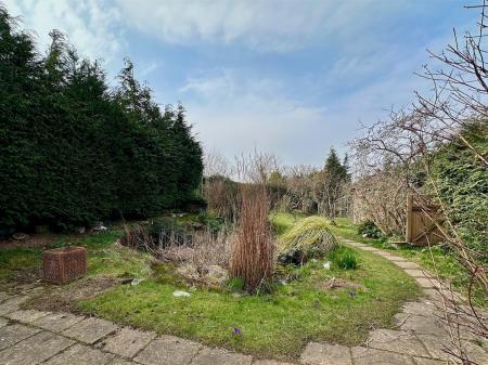 back garden 2.jpg