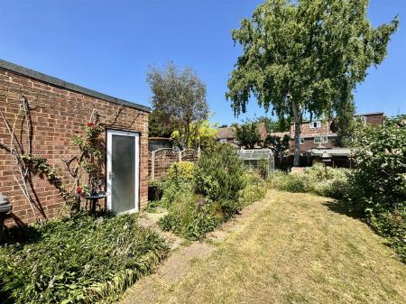 Garden 5.jpg