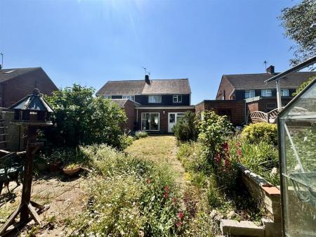 Garden 2.jpg