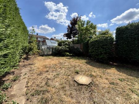 Garden 3.jpg