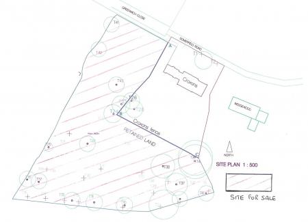 Whole Site Plan 2.jpg