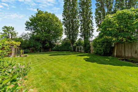 Delightful Garden