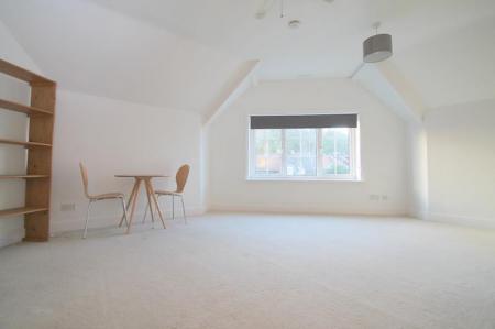 Studio Room (Main)