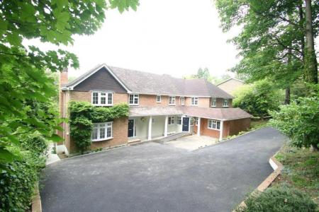 Front including driveway