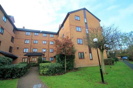 External (Main)