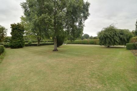 Picture No. 45