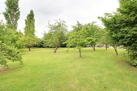 Picture No. 14