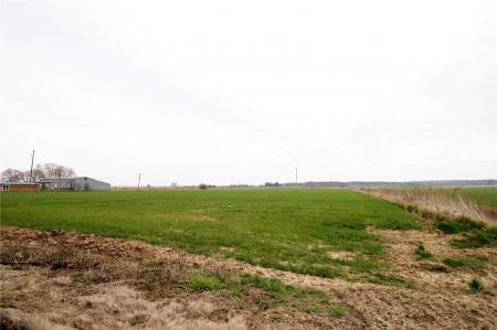 Grounds
