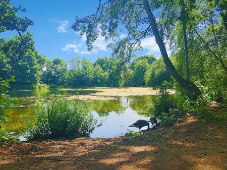 Wanstead Park