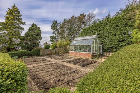 VEGTABLE/FRUIT GARDEN