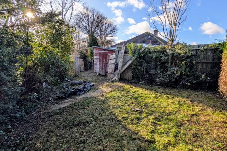 SIDE GARDEN