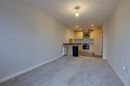 KITCHEN/LIVING ROOM