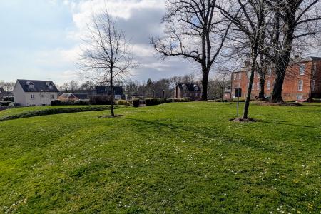 COMMUNAL GARDENS