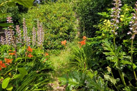 GARDEN