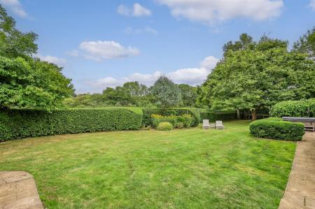 Garden 6.jpg