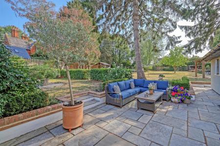 img_9137_66 copy.jpg