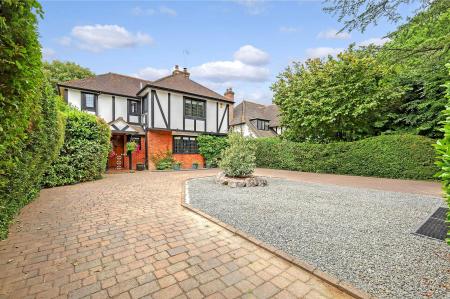 img_5425_32 copy.jpg