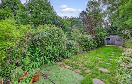 img_1451_19 copy.jpg